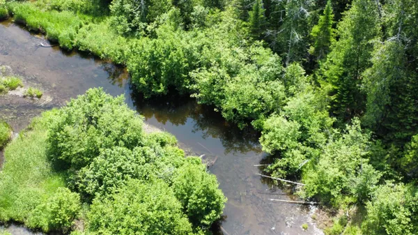 $45,545 | Lot U County Road, New Limerick, ME 04761
