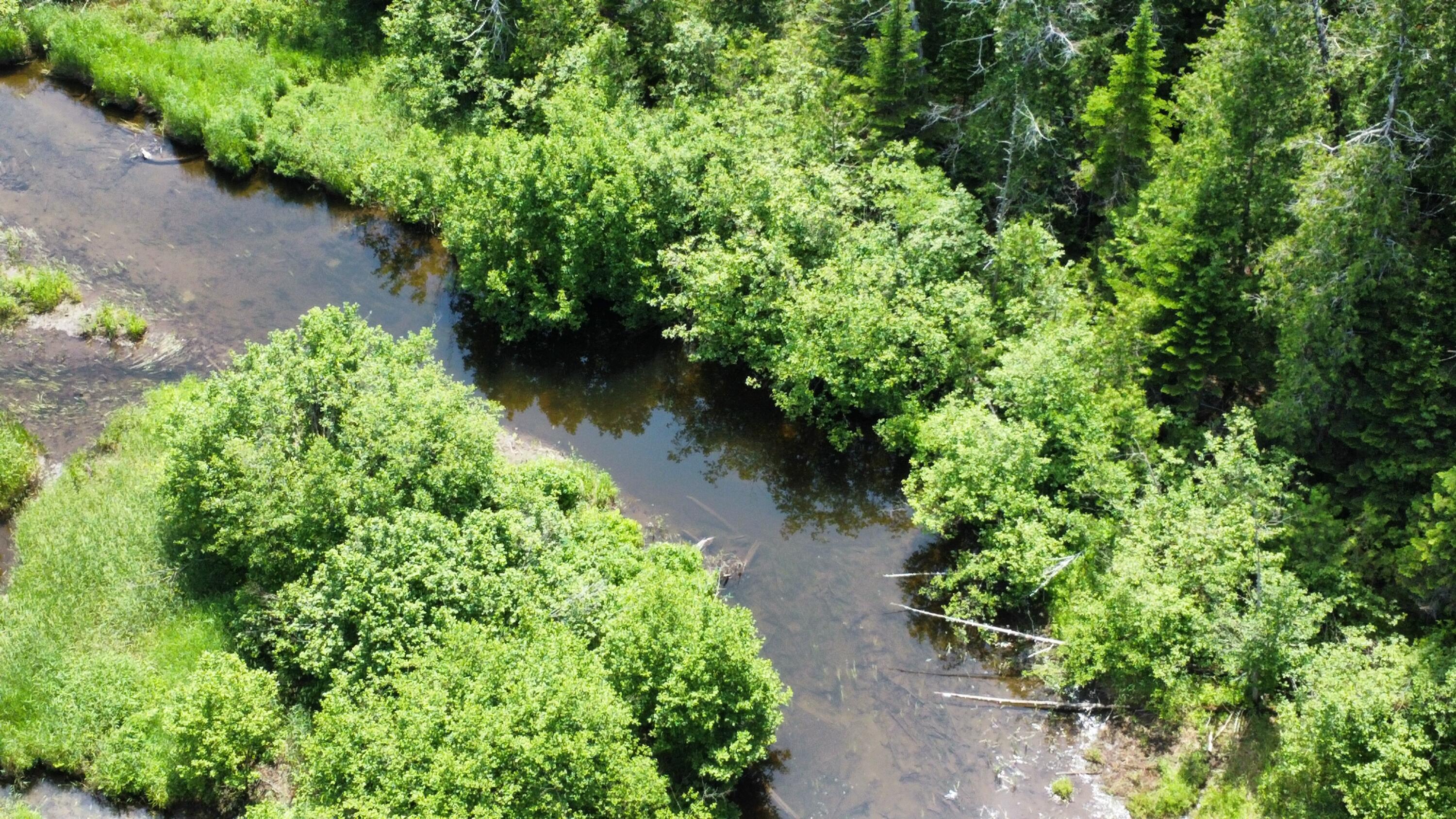 Lot U County Road New Limerick, ME 04761 - Photo 10 of 15 dji_fly_20250624_112420_91_1750778684141