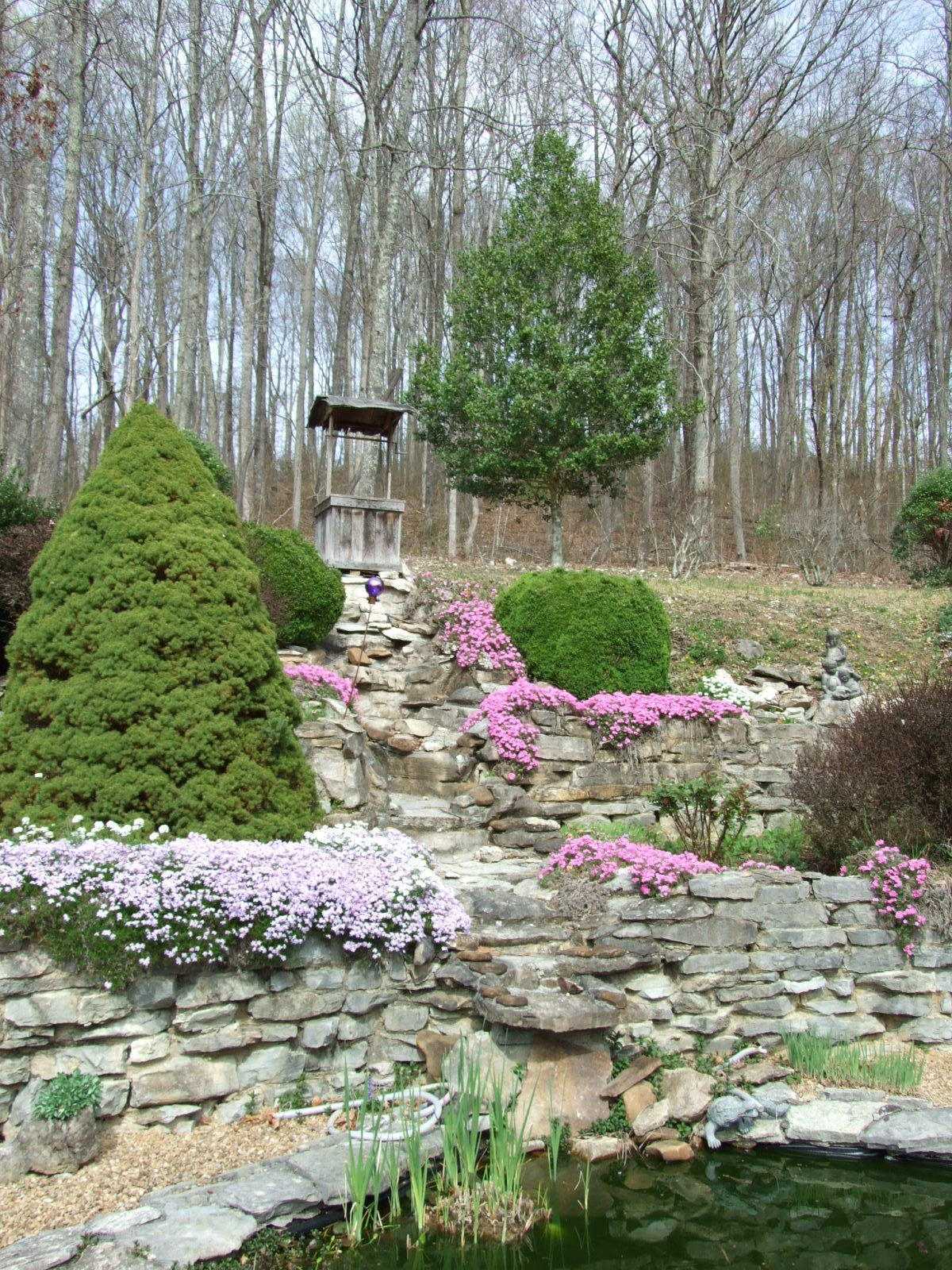 376 Holt Ridge Road Tazewell, TN 37879 - Photo 6 of 26 DSCF2898