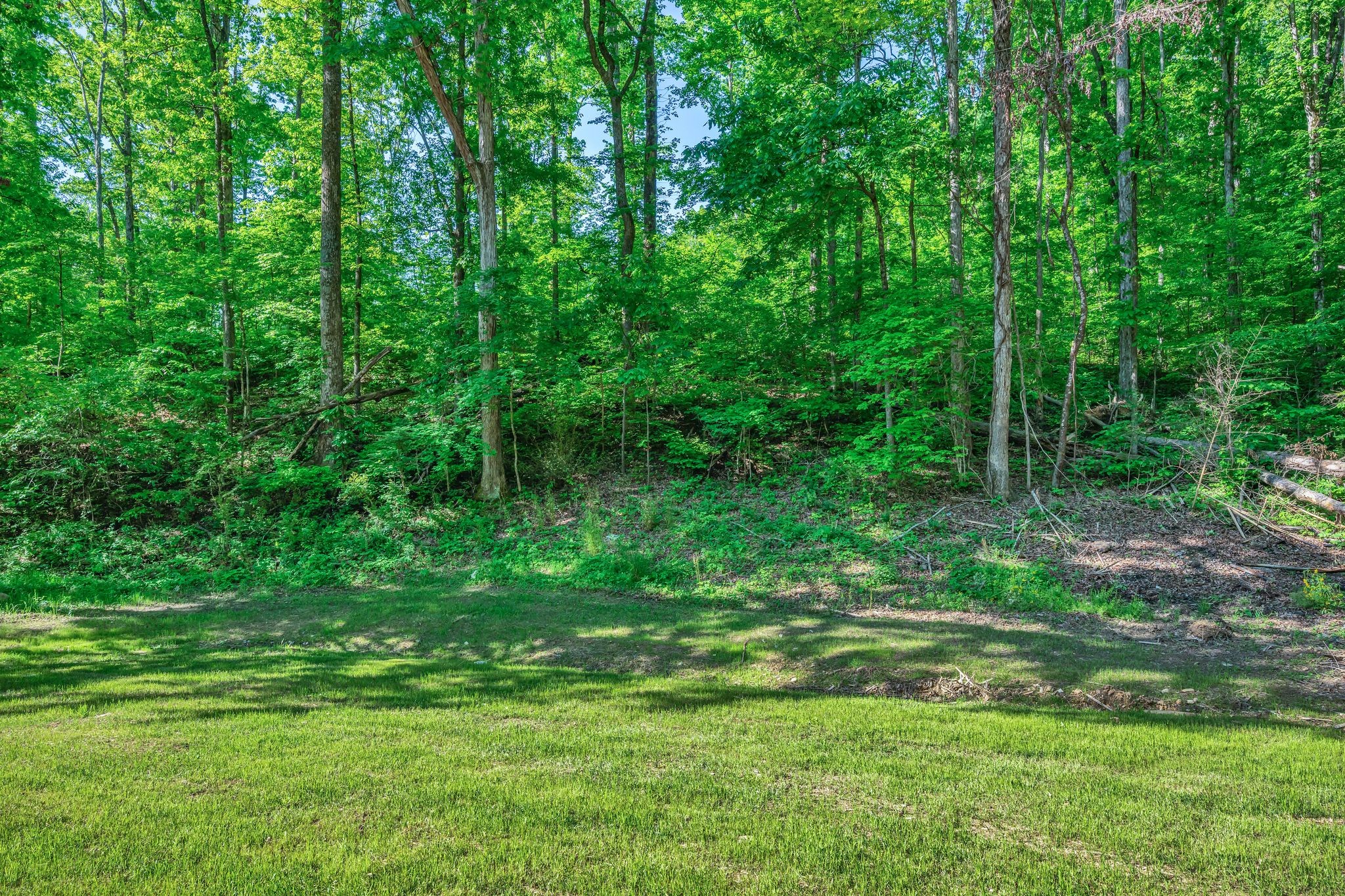 120 Bern Street Waverly, TN 37185 - Photo 34 of 36 a view of a grassy field with trees in the background