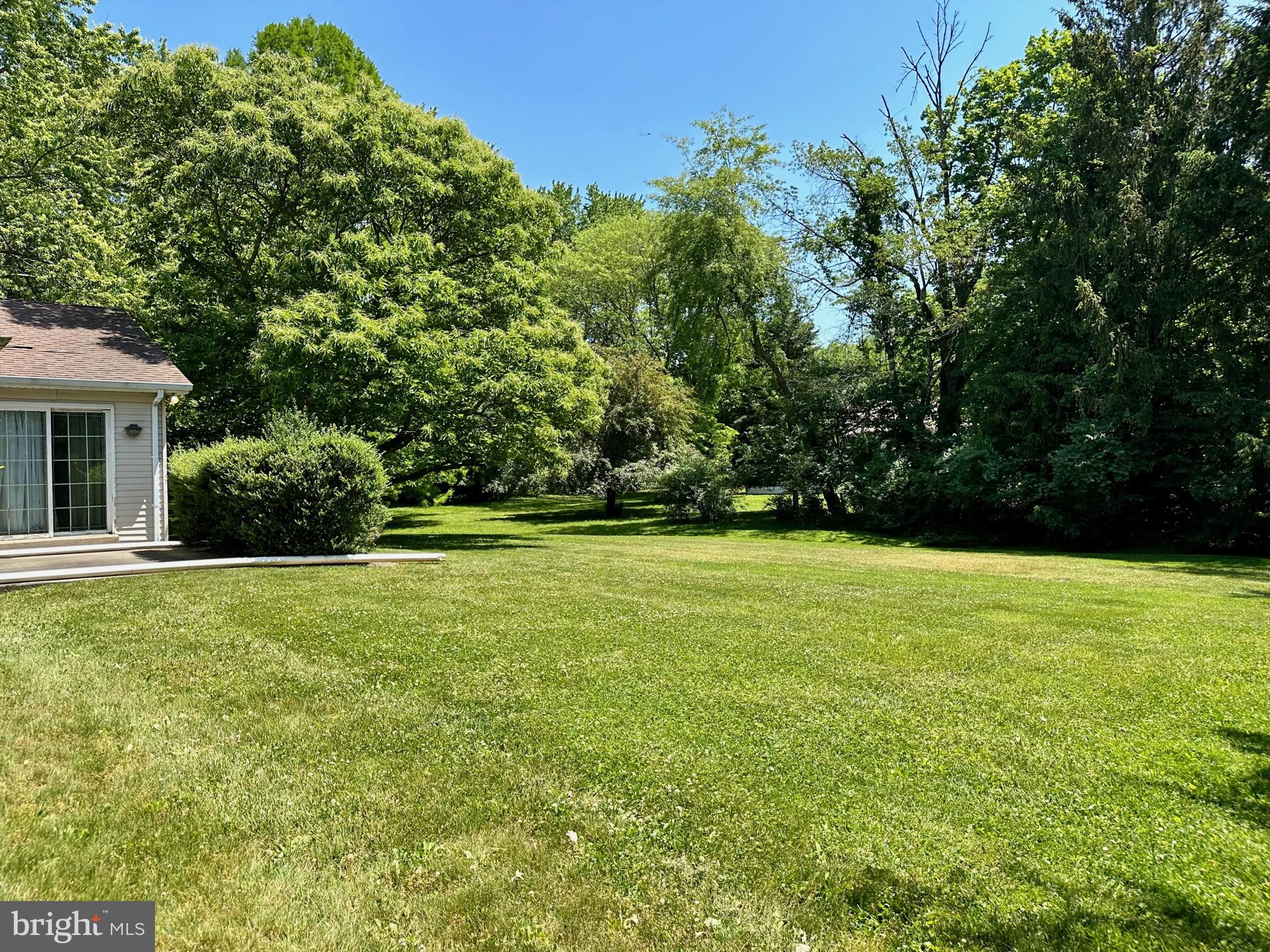 Side Yard