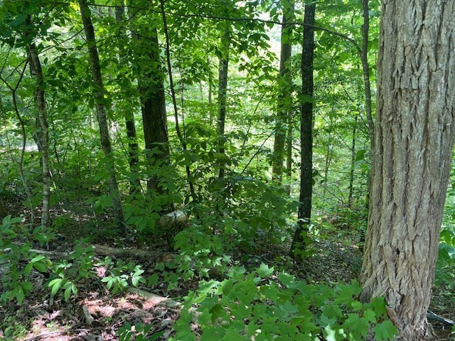 0 Ridgefield Drive Sevierville, TN 37876 - Photo 3 of 4 Gallery Image 3