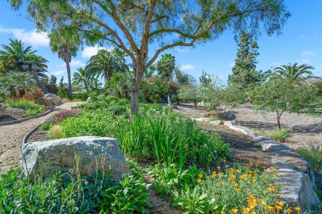 7187 Via De Maya Rancho Santa Fe, CA 92067 - Photo 10 of 10 a view of a garden with a tree