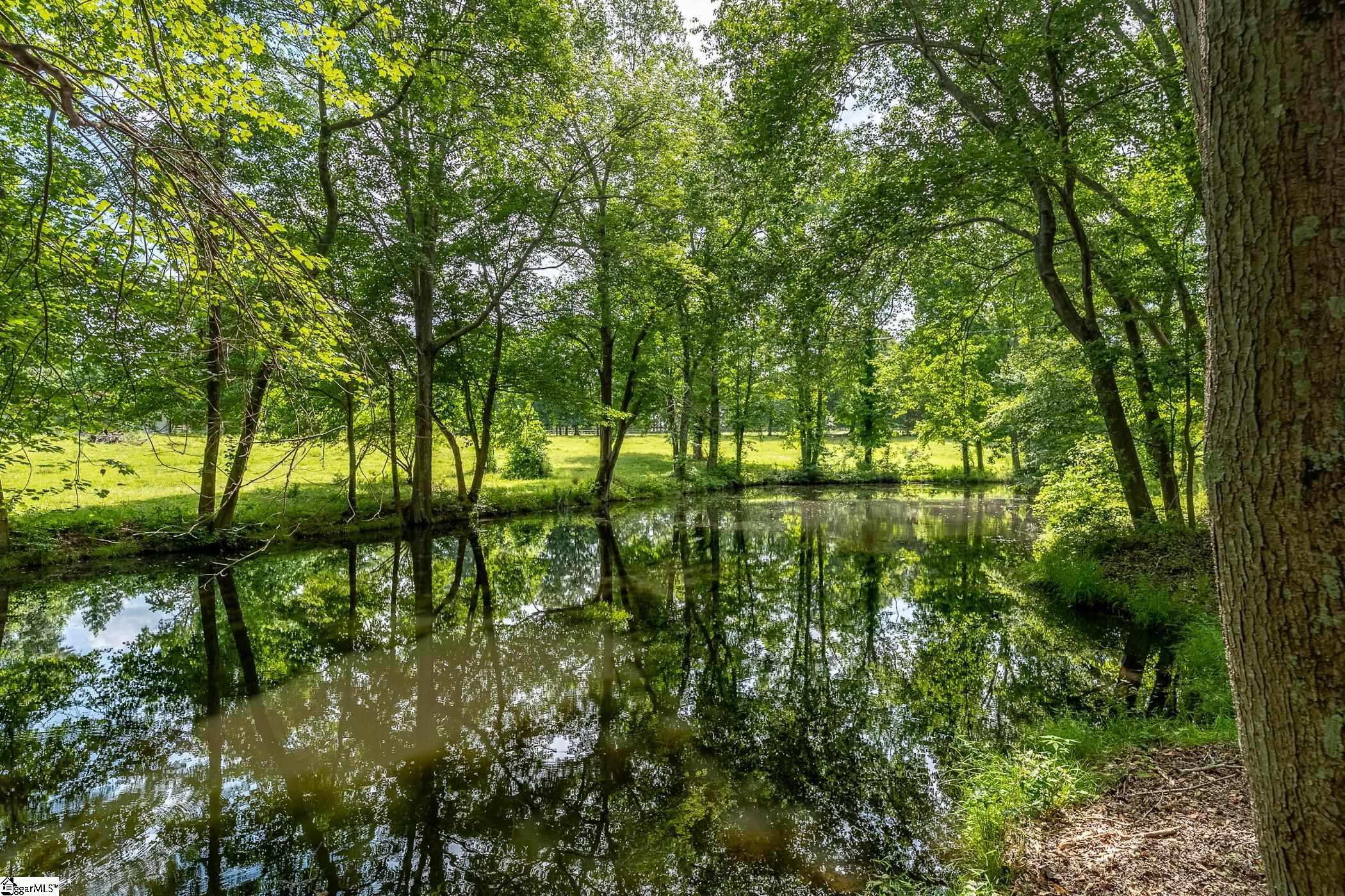 320 Ray Road Piedmont, SC 29673 - Photo 29 of 35