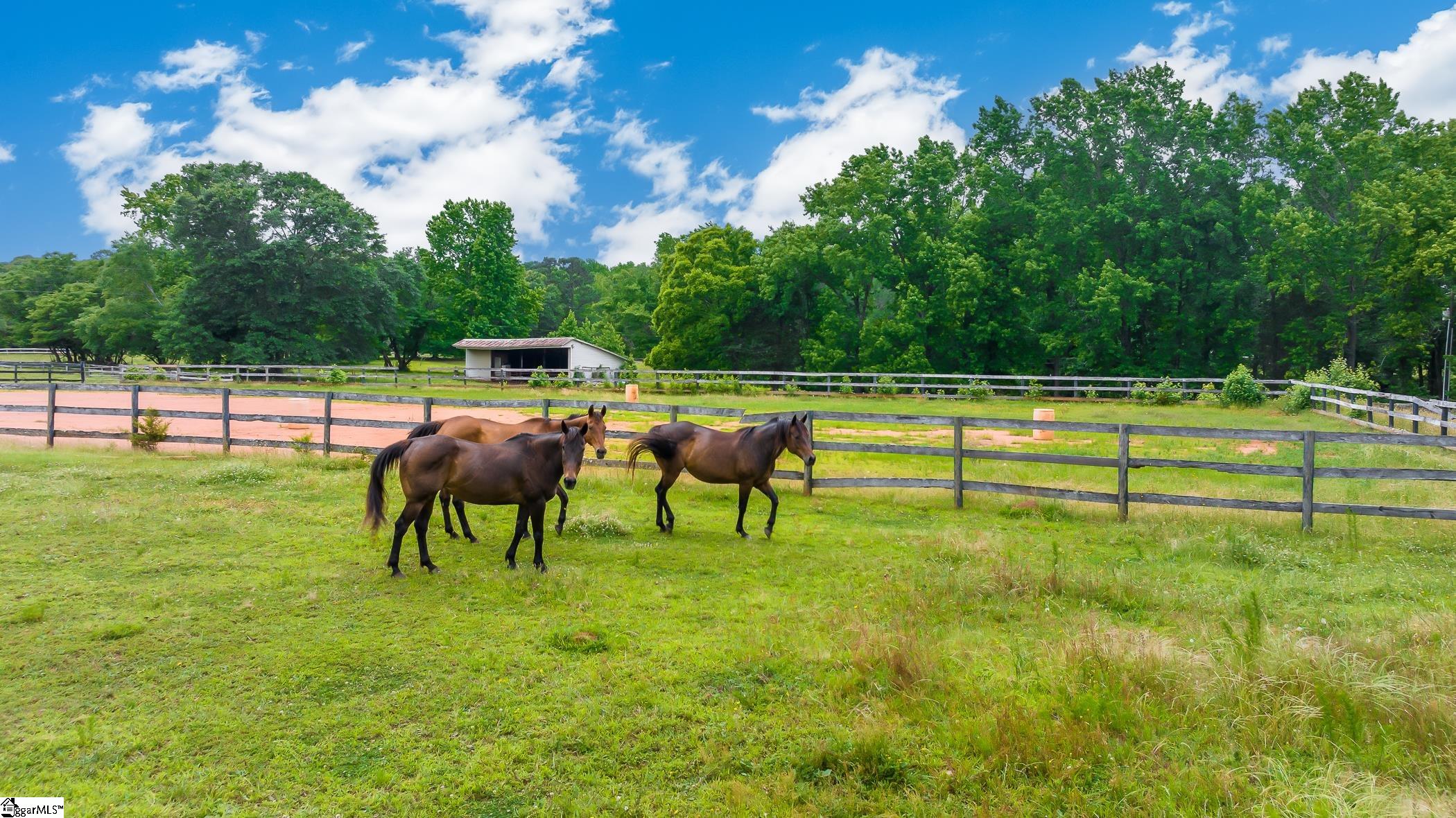 320 Ray Road Piedmont, SC 29673 - Photo 32 of 35