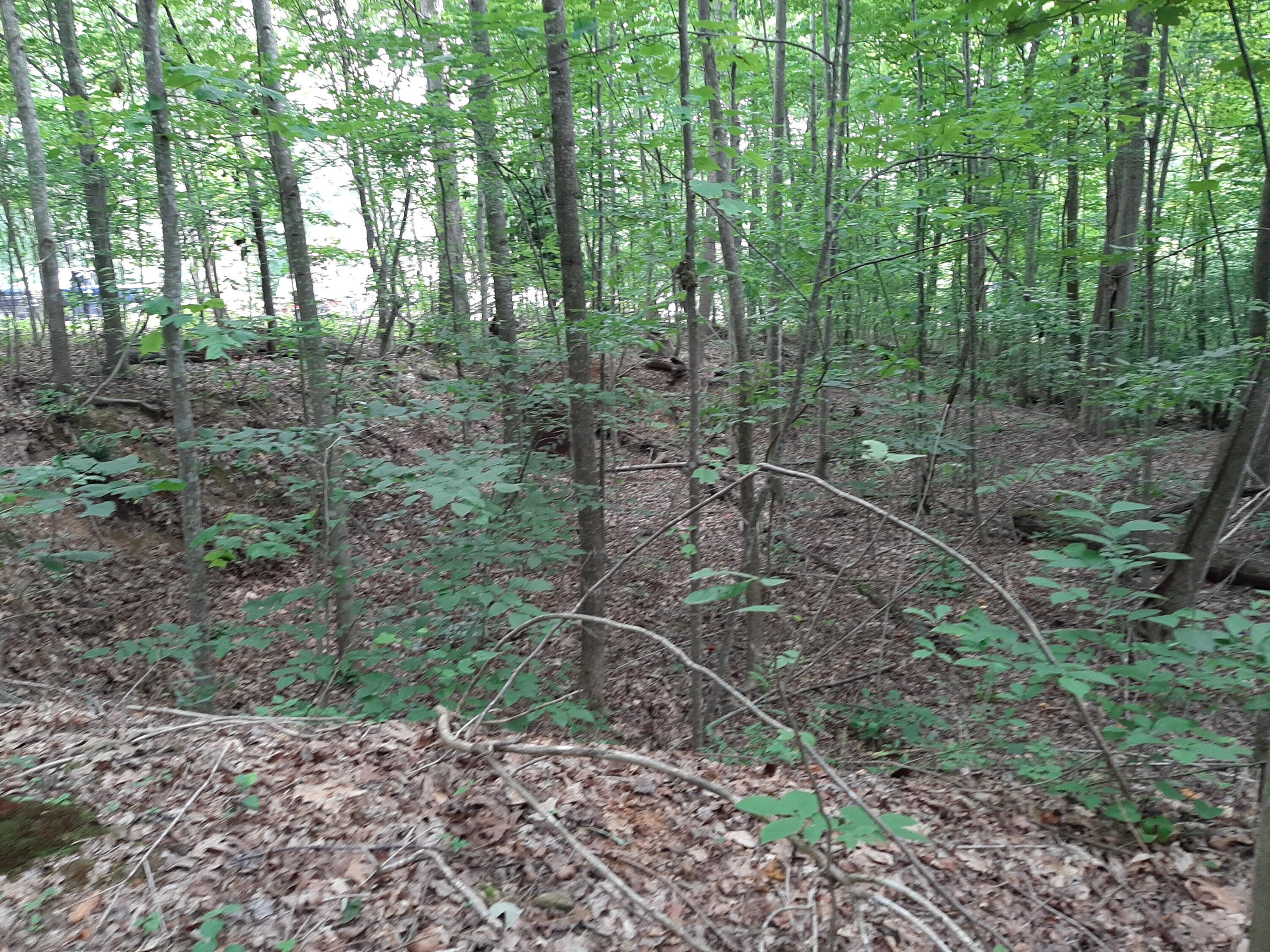 0 Pond Ridge Trail Nancy, KY 42544 - Photo 6 of 8 20210707_105512
