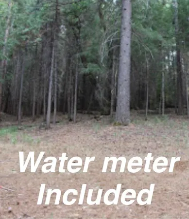 a view of a wooden house