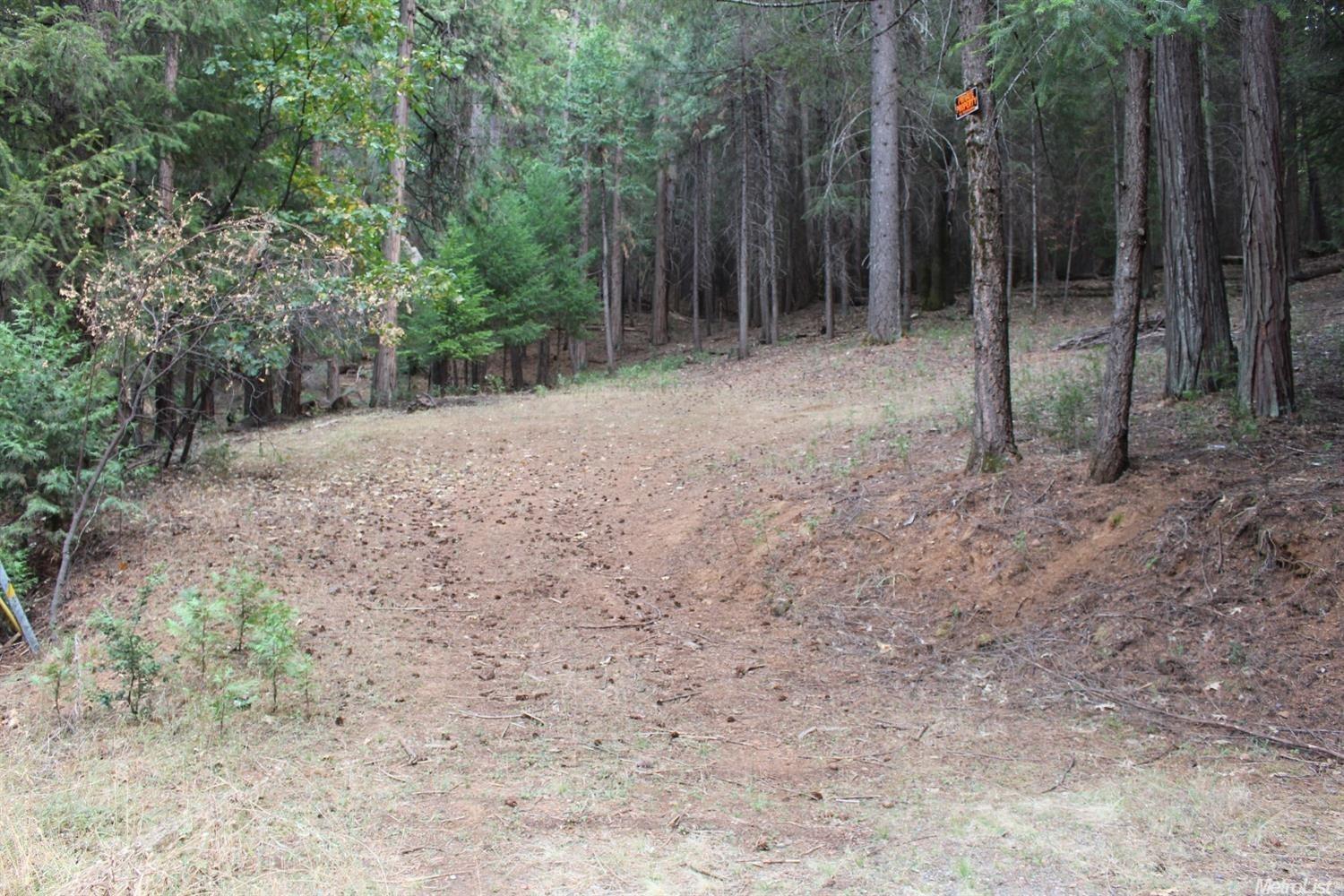 5511 Shooting Star Road Pollock Pines, CA 95726 - Photo 11 of 18 a view of a forest with trees in the background