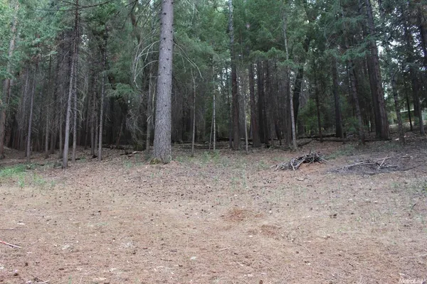 a view of outdoor space with trees