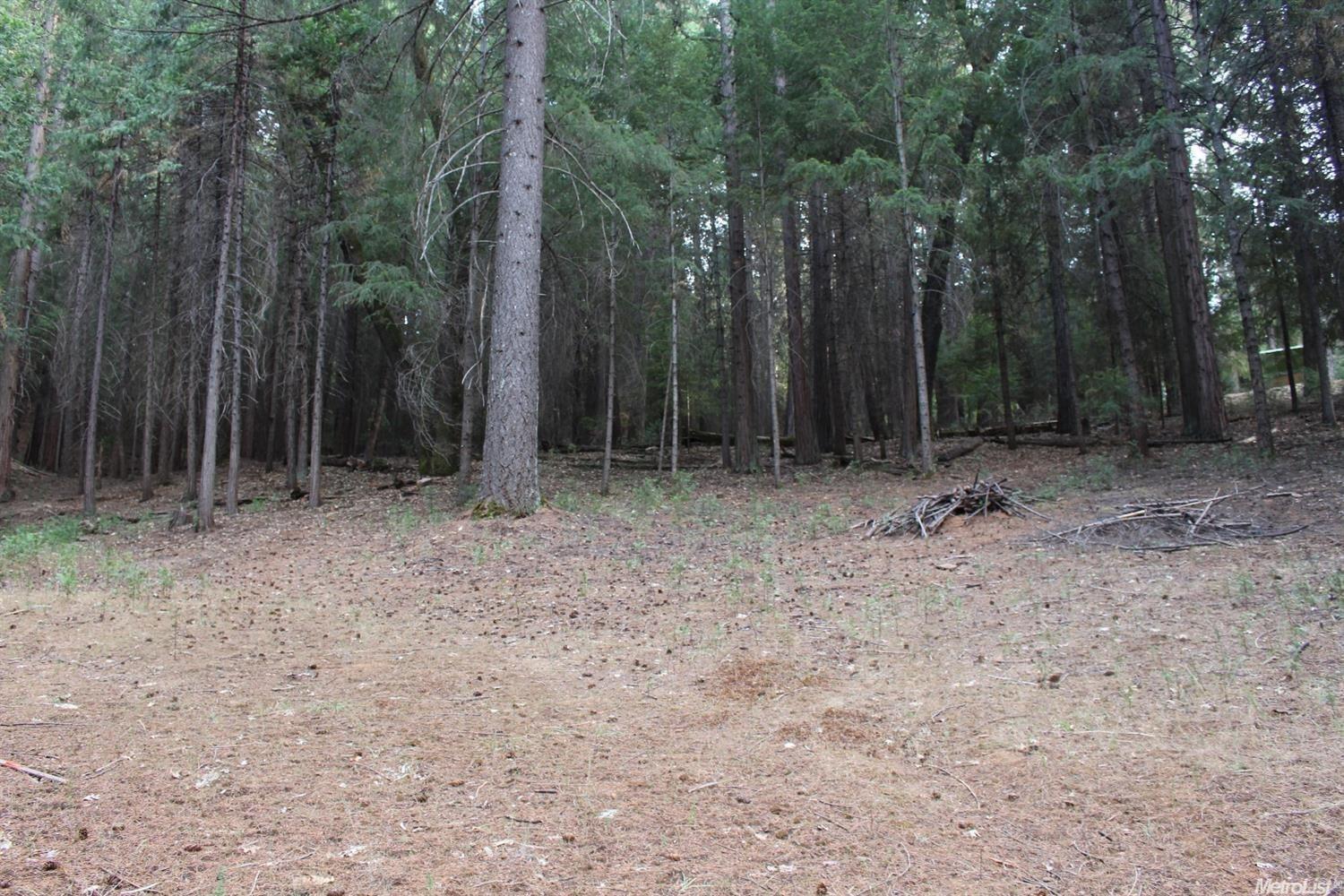 5511 Shooting Star Road Pollock Pines, CA 95726 - Photo 12 of 18 a view of outdoor space with trees