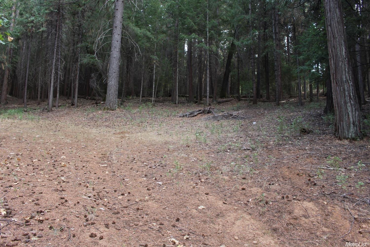 5511 Shooting Star Road Pollock Pines, CA 95726 - Photo 13 of 18 a view of outdoor space with trees