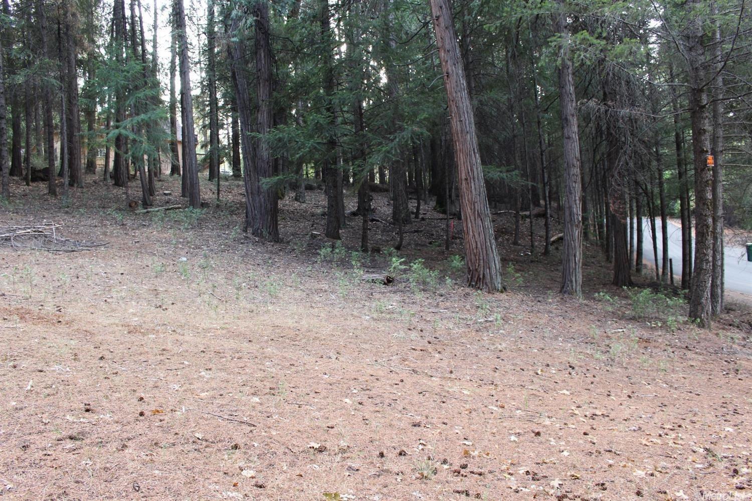 5511 Shooting Star Road Pollock Pines, CA 95726 - Photo 14 of 18 a backyard of a house with lots of green space