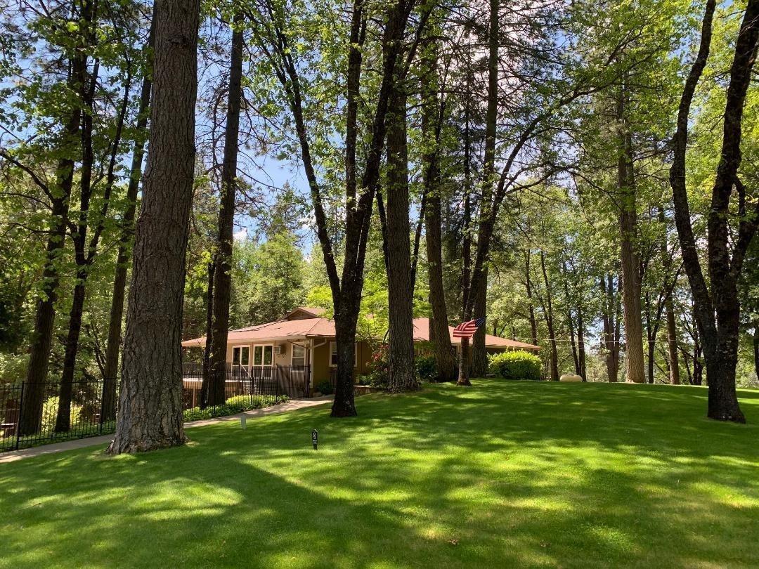 5511 Shooting Star Road Pollock Pines, CA 95726 - Photo 17 of 18 a view of a trees with a yard