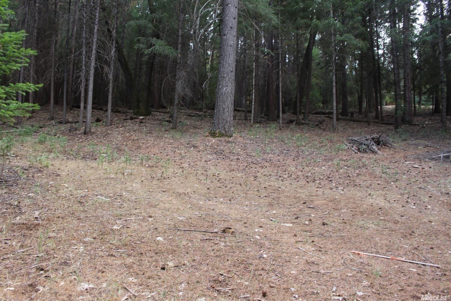 5511 Shooting Star Road Pollock Pines, CA 95726 - Photo 2 of 18 a view of outdoor space with trees