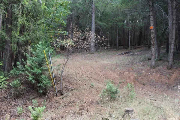 a view of outdoor space and green space
