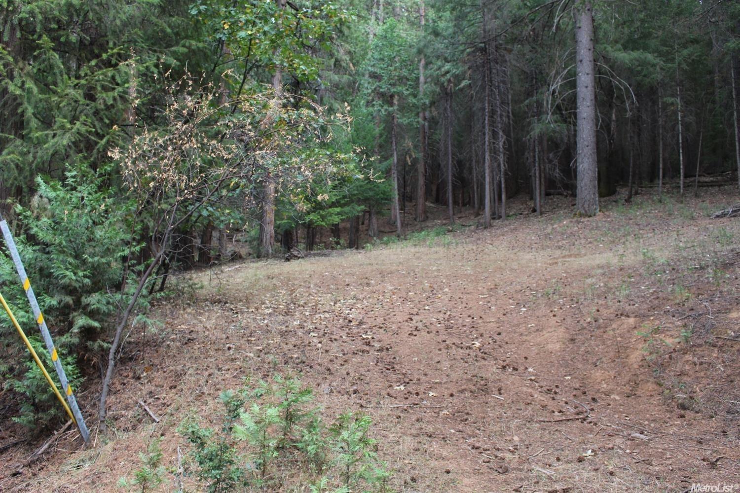 5511 Shooting Star Road Pollock Pines, CA 95726 - Photo 4 of 18 a view of a forest with trees in the background
