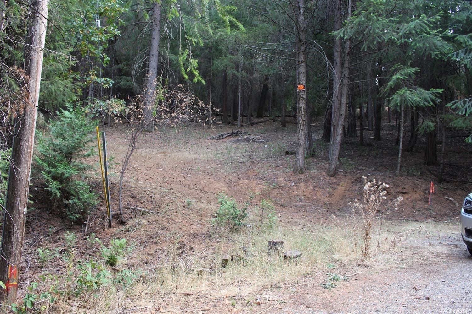 5511 Shooting Star Road Pollock Pines, CA 95726 - Photo 6 of 18 a view of a forest with trees in the background