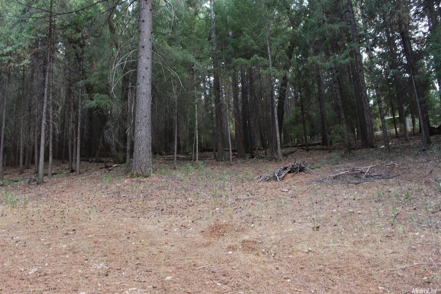 5511 Shooting Star Road Pollock Pines, CA 95726 - Photo 10 of 18 a backyard of a house