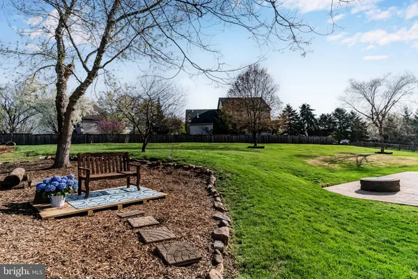a view of a park with large trees