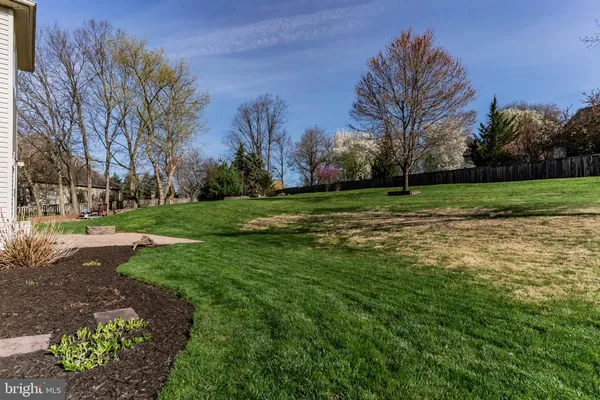 a view of a backyard with large trees