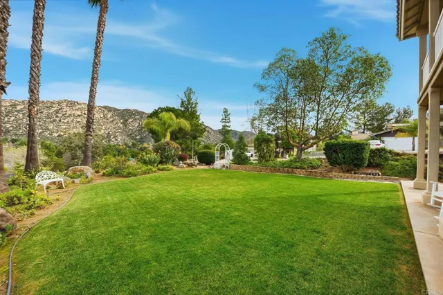 a potted plant sitting in front of a door