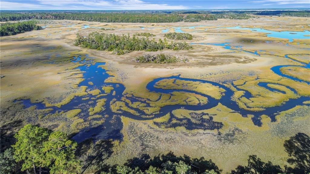 1261 Otter Slide Loop Townsend, GA 31331 - Photo 2 of 52 a view of an ocean from a balcony
