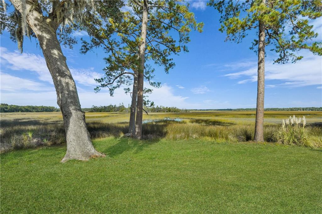 1261 Otter Slide Loop Townsend, GA 31331 - Photo 42 of 52 a view of a lake with a tree