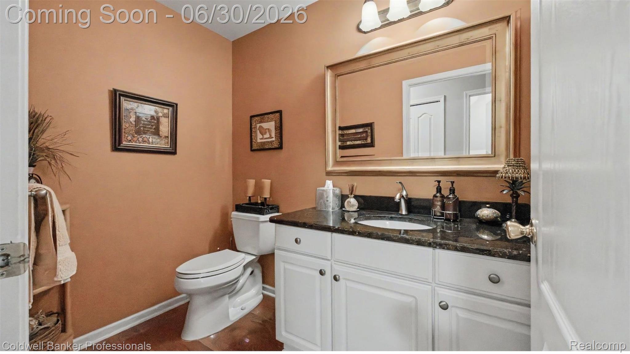 1085 Bloomview Circle Rochester, MI 48307 - Photo 29 of 67 Bathroom featuring a single vanity with a dark countertop, an undermount sink, and white cabinetry
