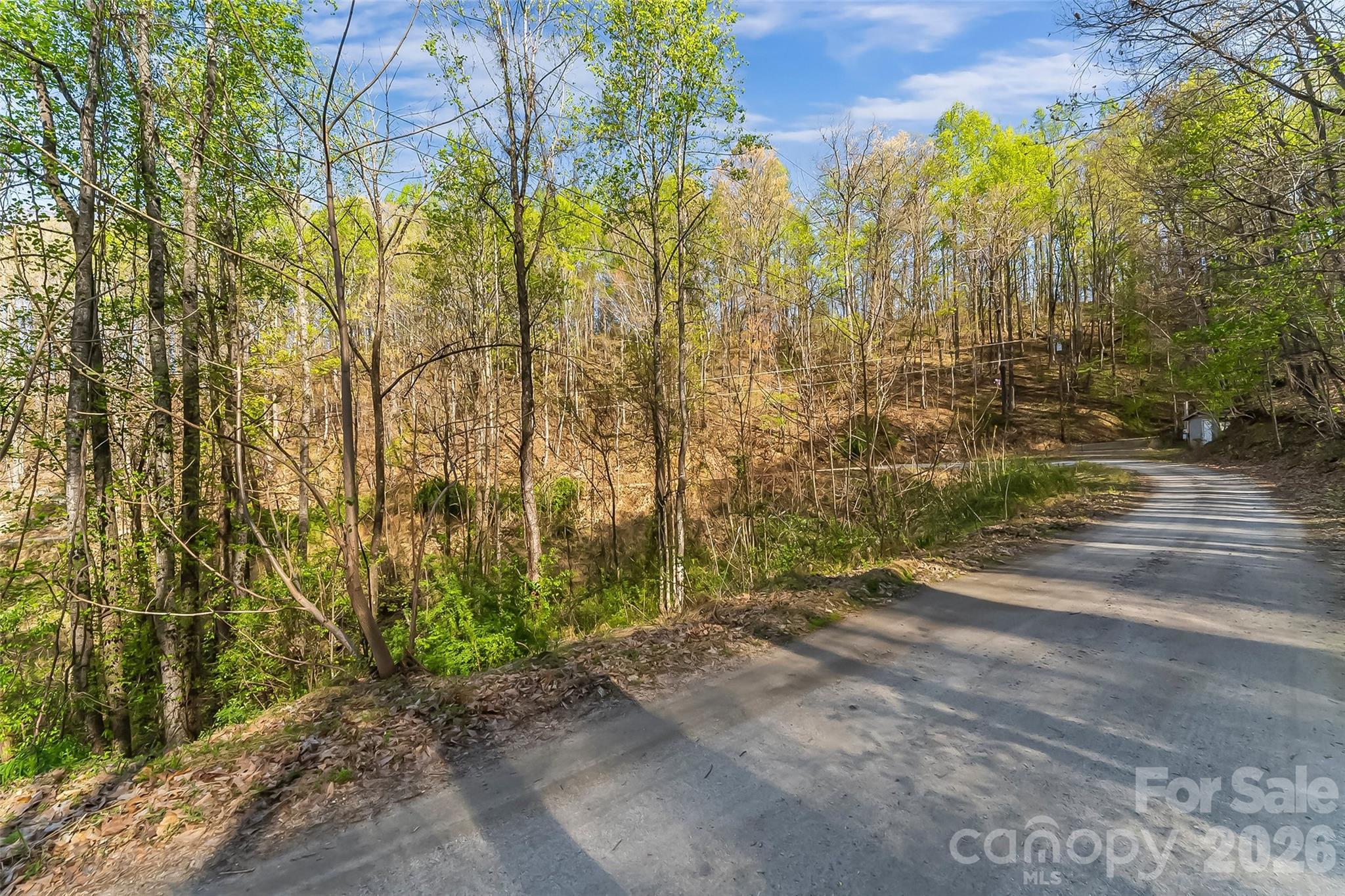 0 High Peak Mountain Road Valdese, NC 28690 - Photo 12 of 15 a view of a yard with plants and large trees