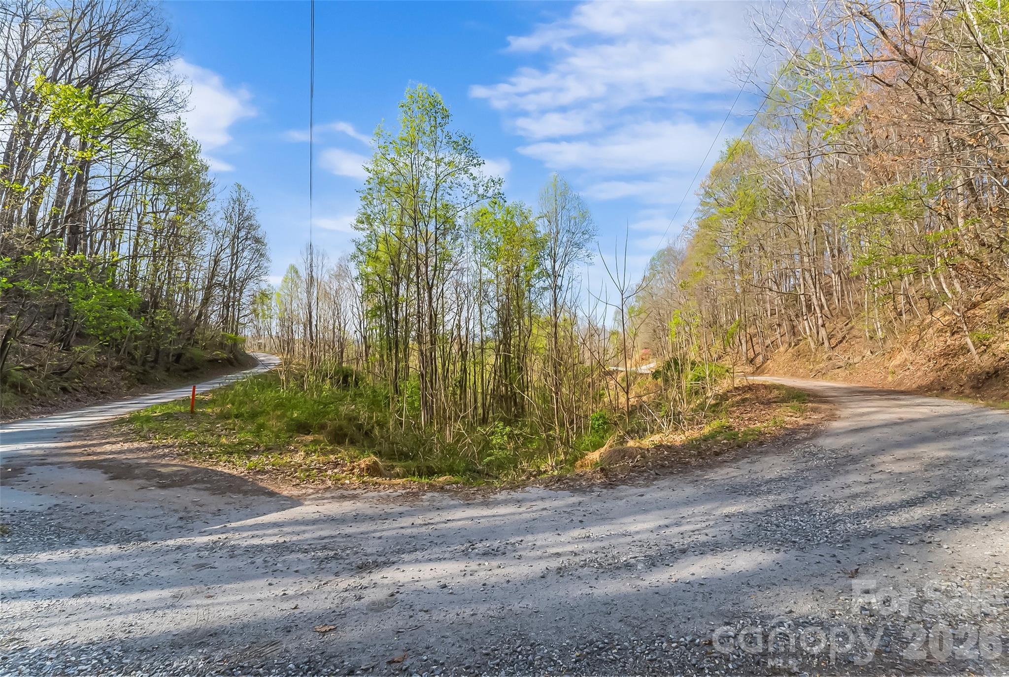 0 High Peak Mountain Road Valdese, NC 28690 - Photo 13 of 15 a view of backyard