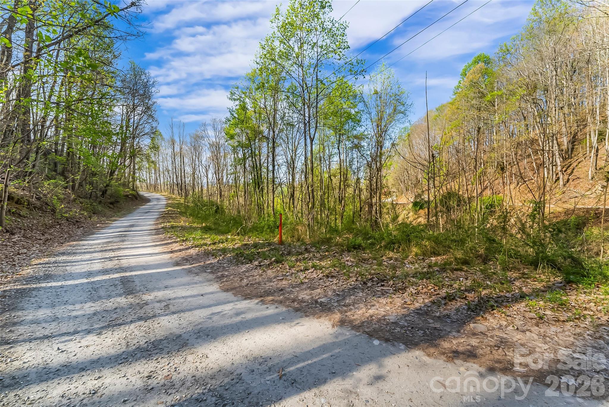 0 High Peak Mountain Road Valdese, NC 28690 - Photo 14 of 15 a view of backyard