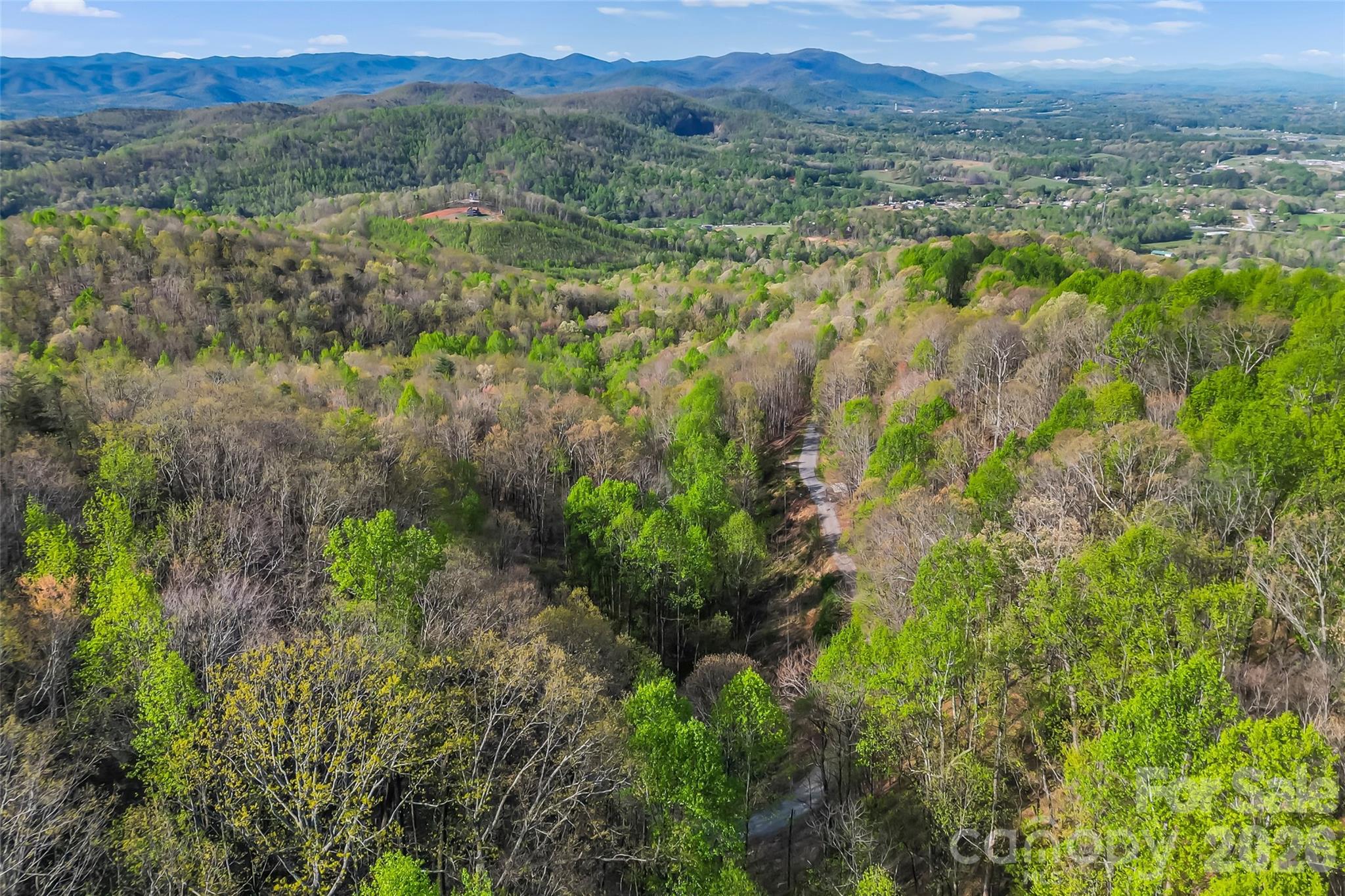 0 High Peak Mountain Road Valdese, NC 28690 - Photo 3 of 15 a view of a lush green forest with trees and some houses