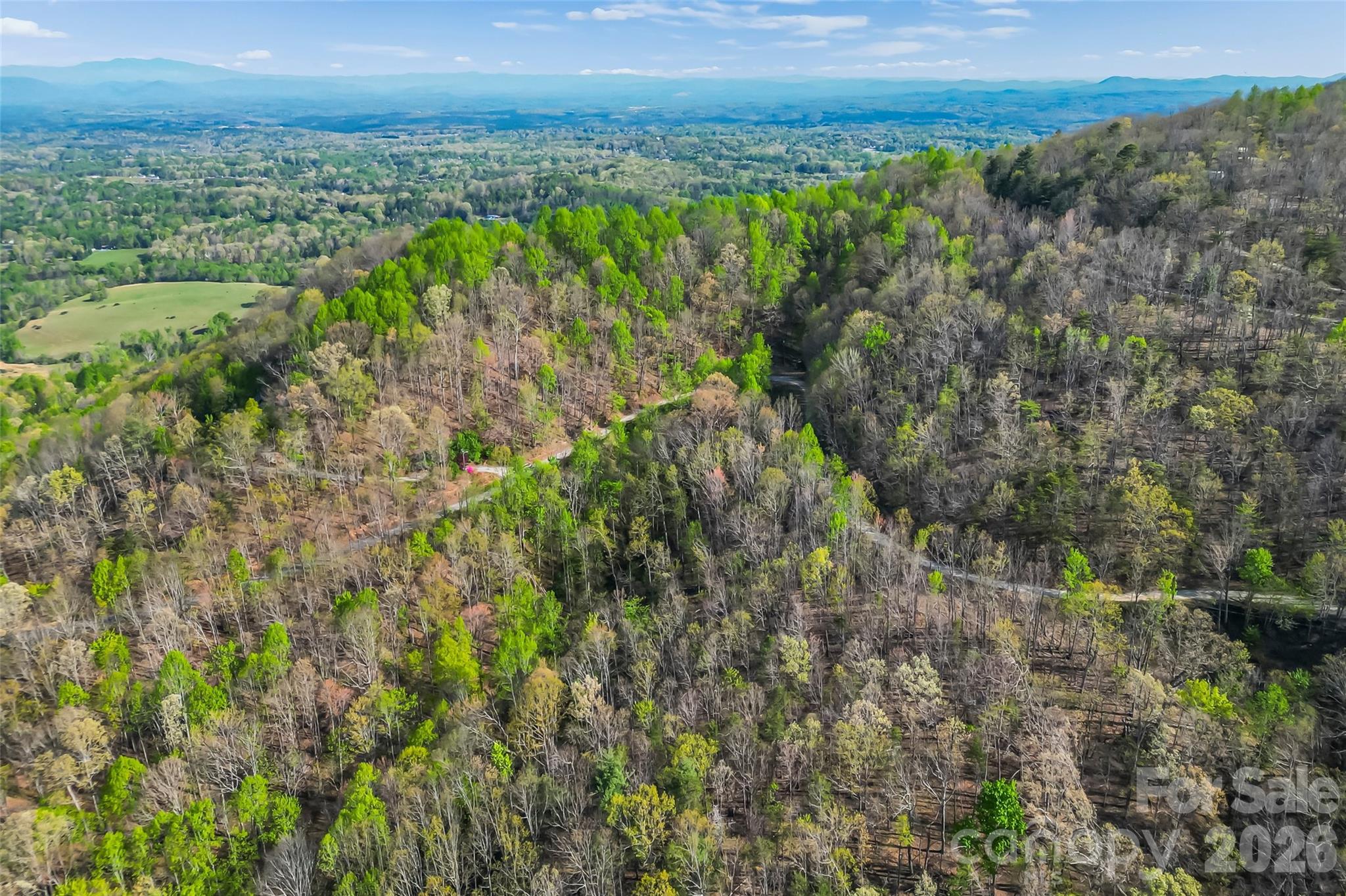 0 High Peak Mountain Road Valdese, NC 28690 - Photo 6 of 15 a view of a lush green forest with a lake and mountain view