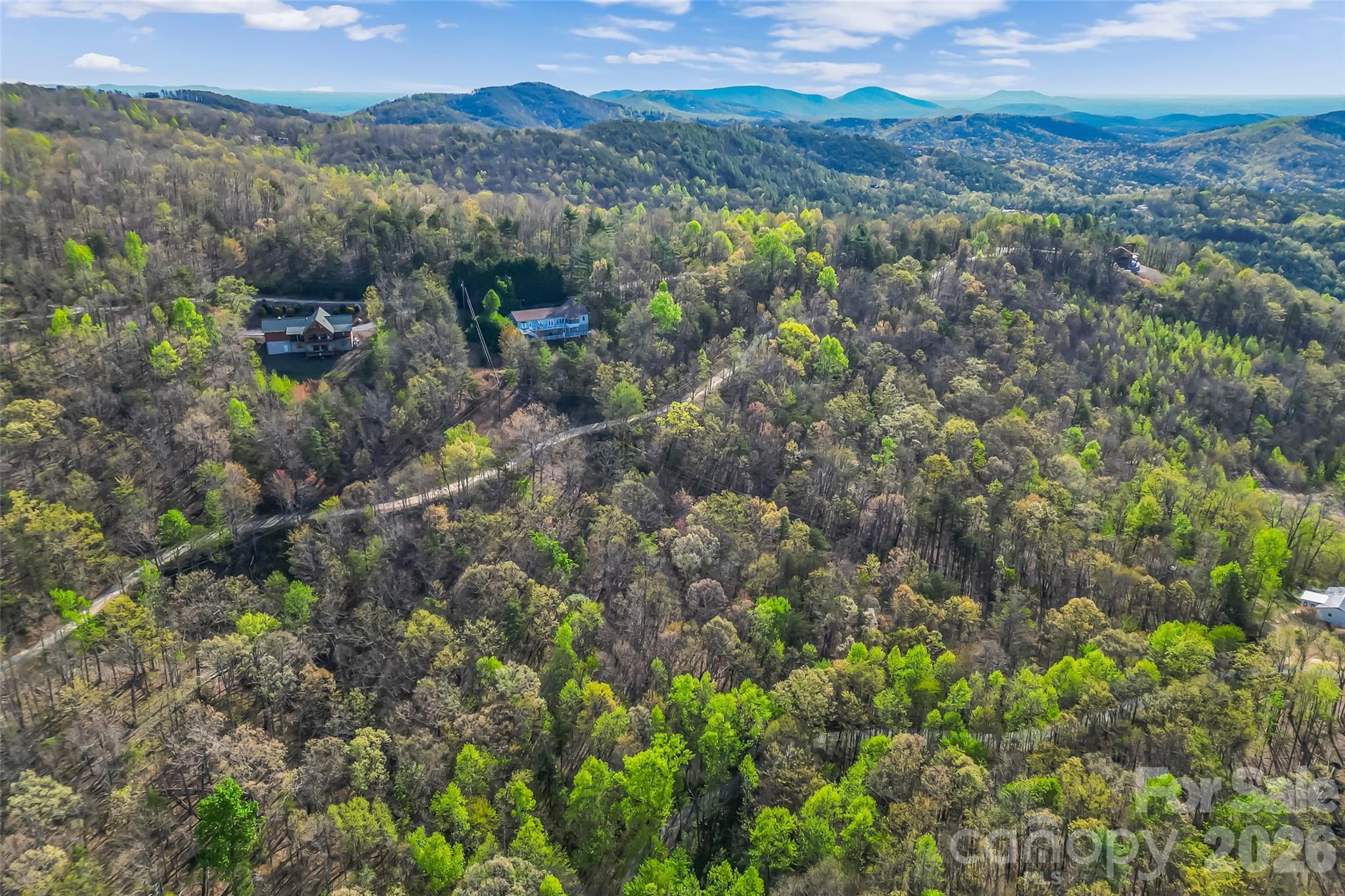 0 High Peak Mountain Road Valdese, NC 28690 - Photo 8 of 15 a view of a forest with a lush green forest