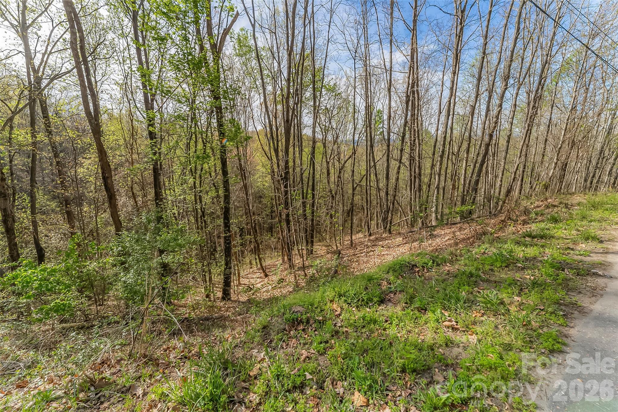 0 High Peak Mountain Road Valdese, NC 28690 - Photo 10 of 15 a view of backyard with green space