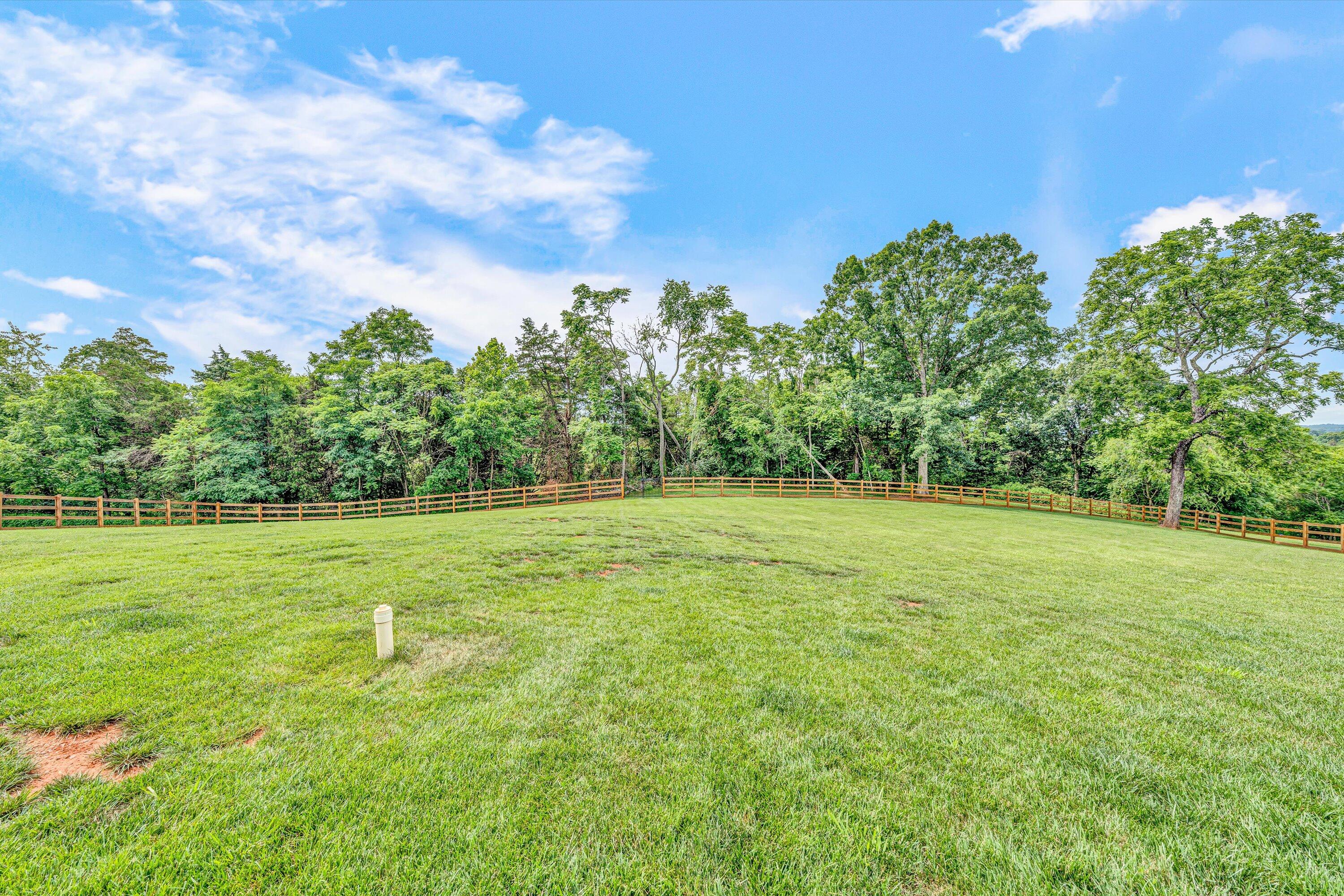 371 Nyle Ridge Road Wirtz, VA 24184 - Photo 59 of 75 51-DSC00229