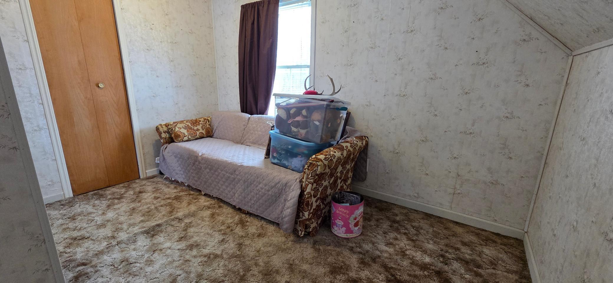 509 6th Avenue Littlefork, MN 56653 - Photo 7 of 13