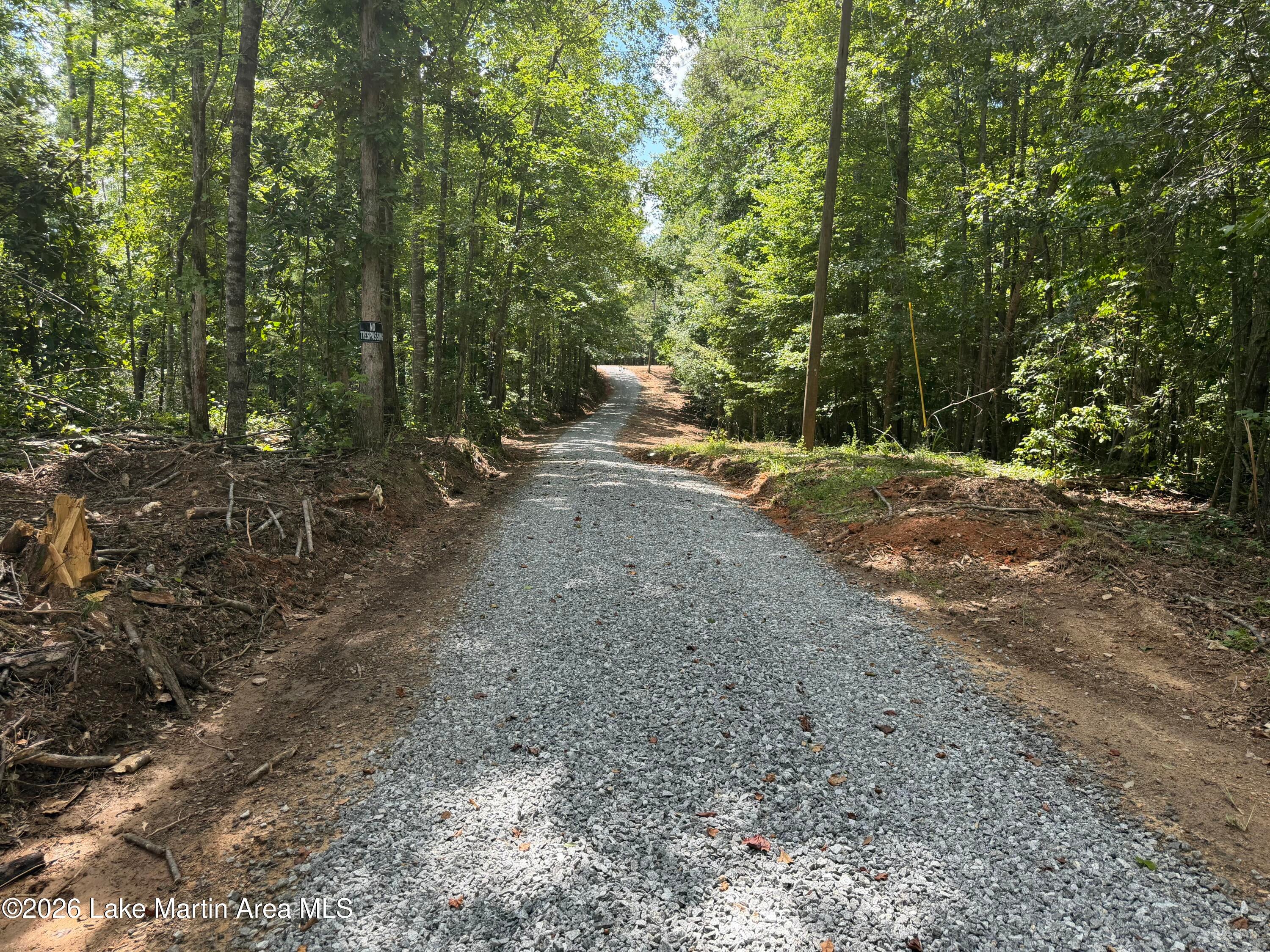 3 /- Acres Rock Springs Road Jacksons Gap, AL 36861 - Photo 4 of 11 Gallery Image 4