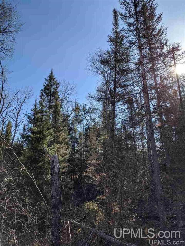 1 Little Bull Road, Unit N1/2NW1/4 Crystal Falls, MI 49920 - Photo 6 of 13