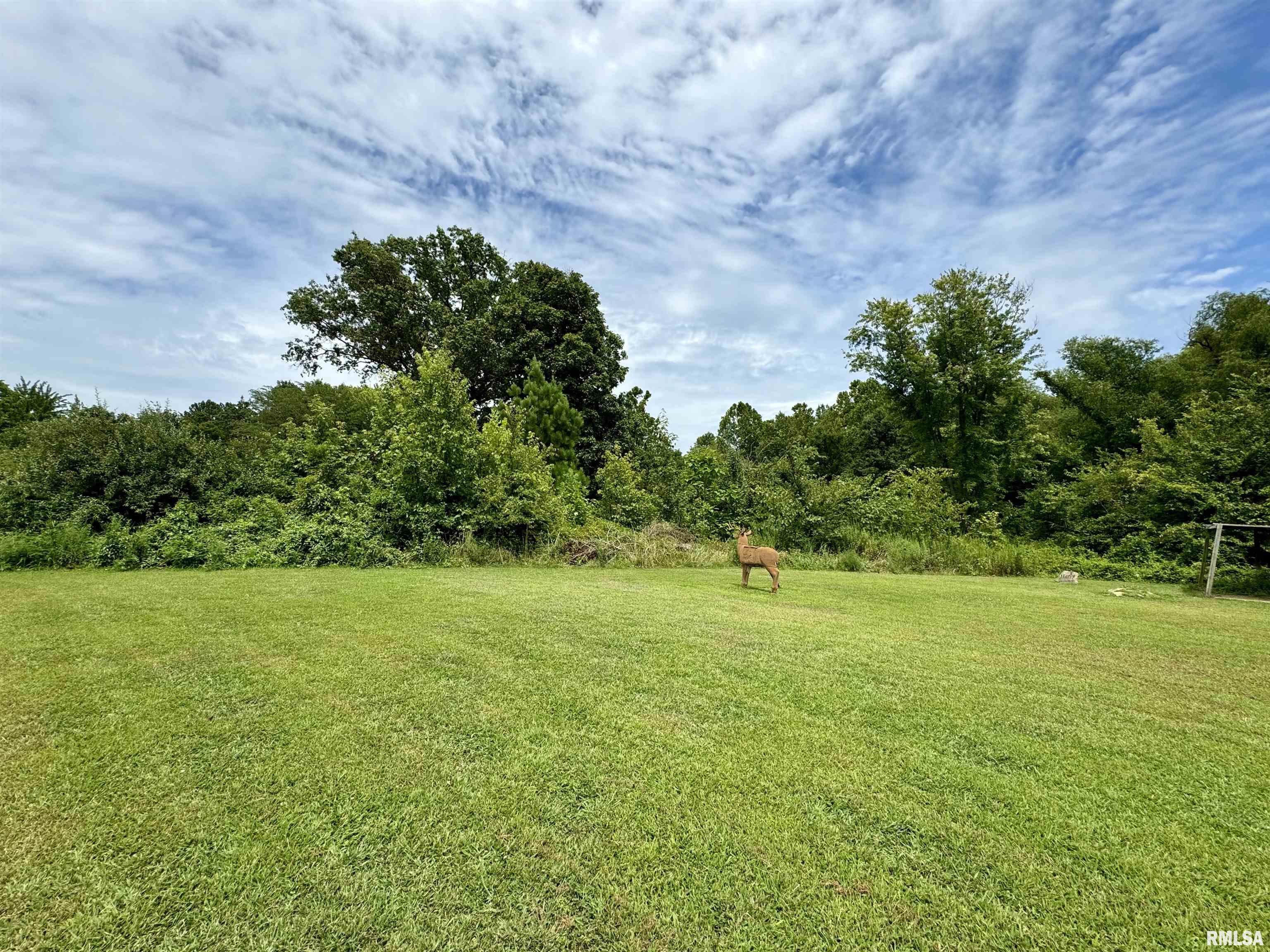 0 1st E Street Logan, IL 62856 - Photo 5 of 12