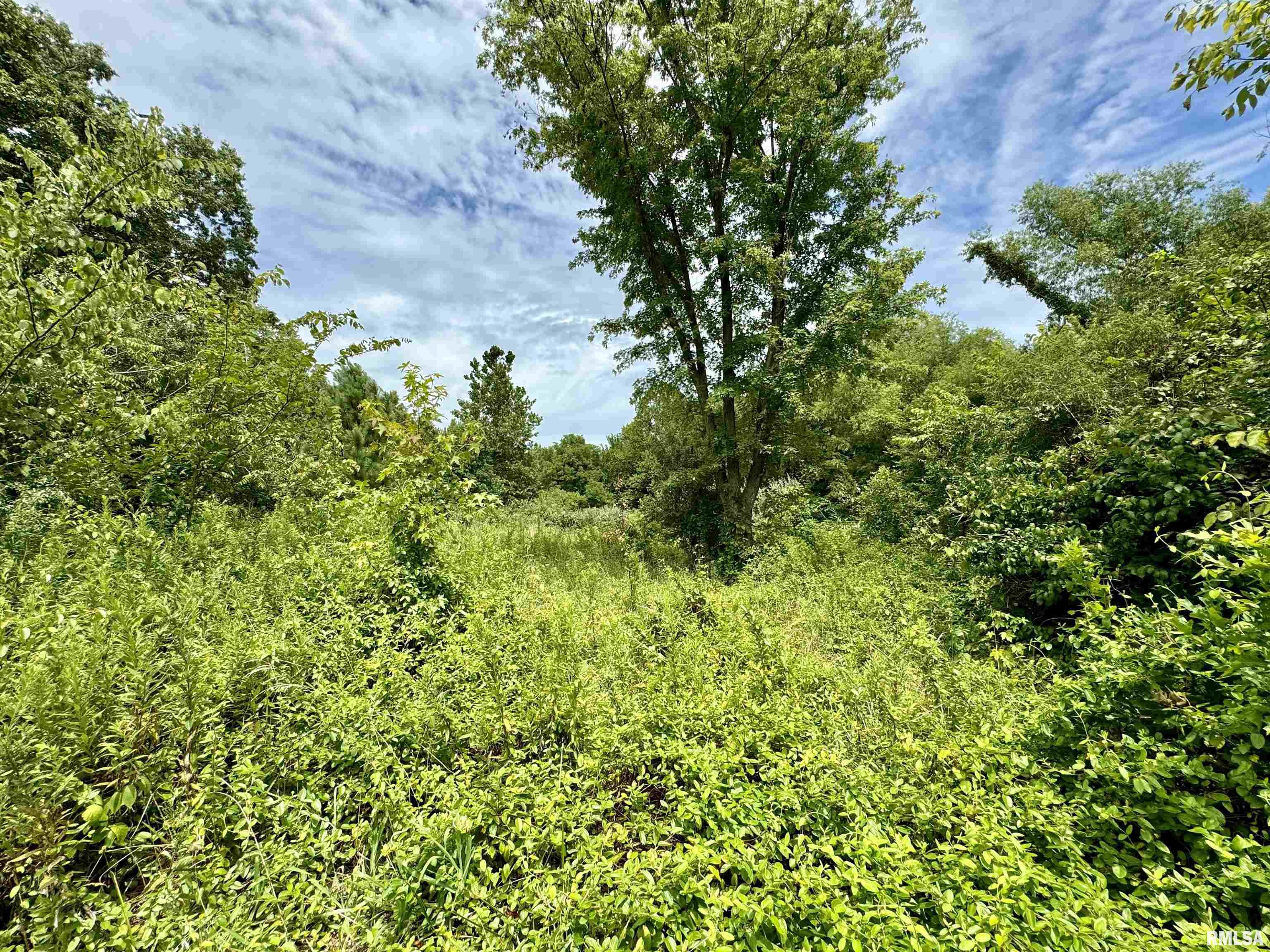 0 1st E Street Logan, IL 62856 - Photo 6 of 12