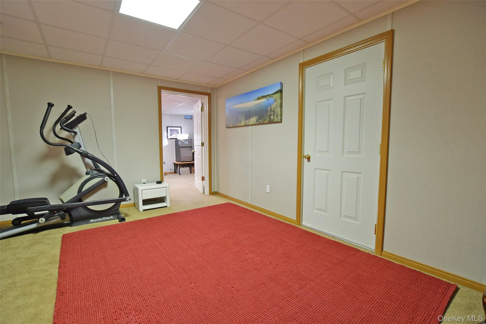 64 Glen Road Baiting Hollow, NY 11933 - Photo 31 of 46 Exercise area featuring carpet flooring and a drop ceiling