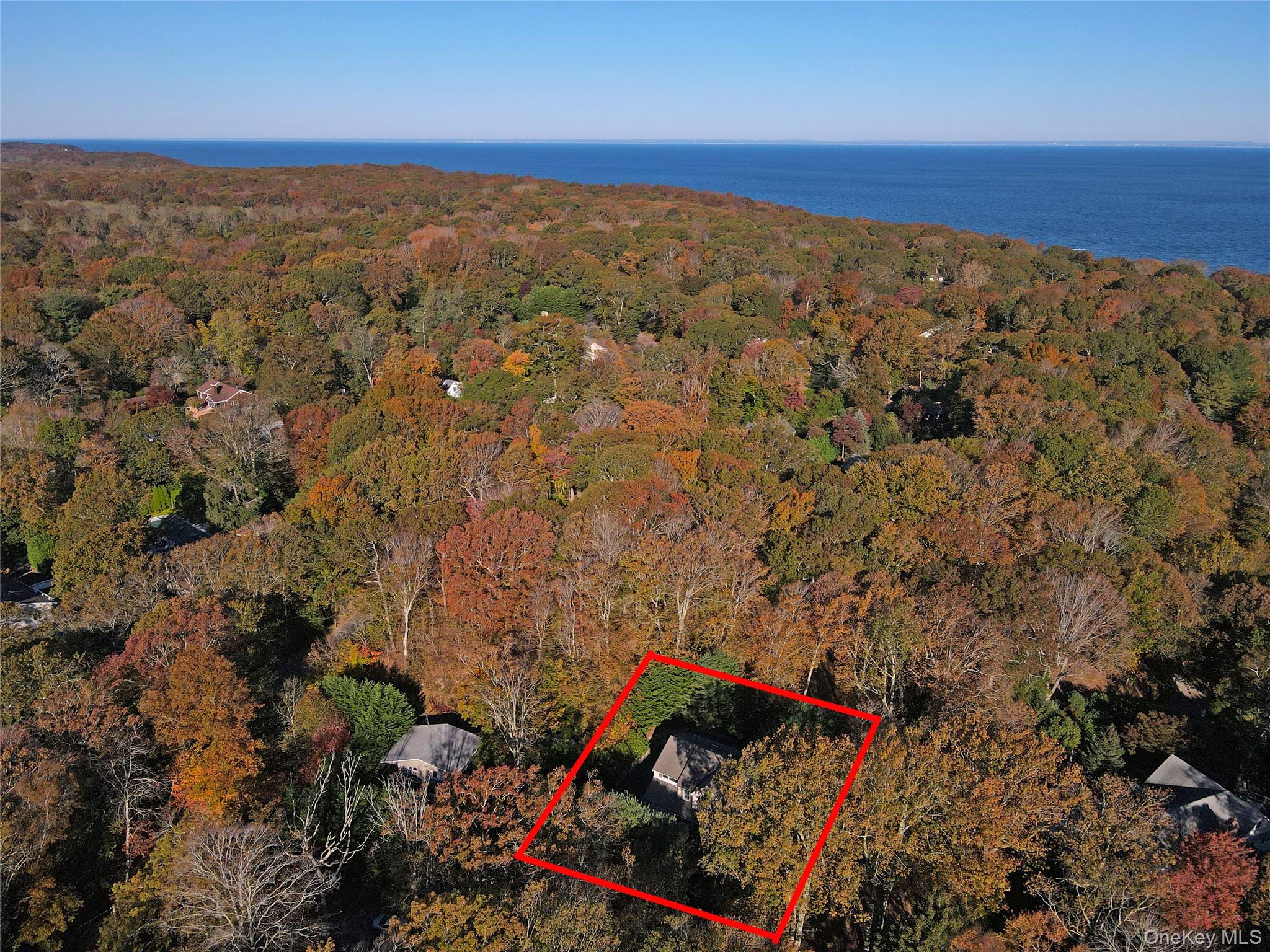 64 Glen Road Baiting Hollow, NY 11933 - Photo 45 of 46 Aerial view of property's location featuring property boundaries highlighted and a forest