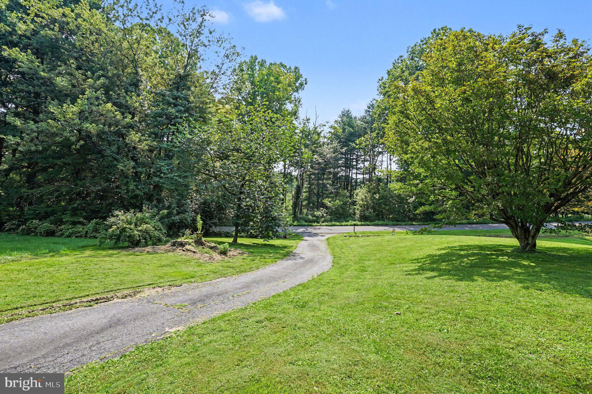 528 Love Run Road Colora, MD 21917 - Photo 3 of 35 View of Front Yard-1.289 Acres (combined parcels)