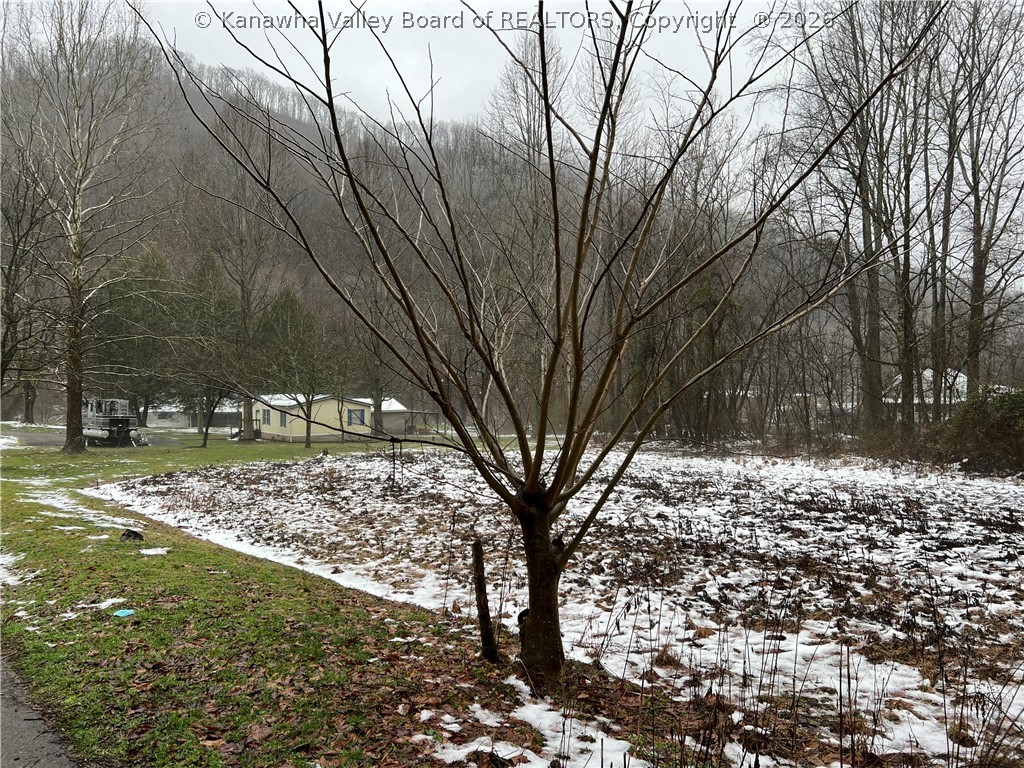 49 Jims Branch Road Lake, WV 25121 - Photo 16 of 17 Gallery Image 16
