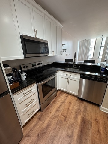 780 South Federal Street, Unit 606 Chicago, IL 60605 - Photo 6 of 11 a kitchen with wooden cabinets a sink a stove and a microwave