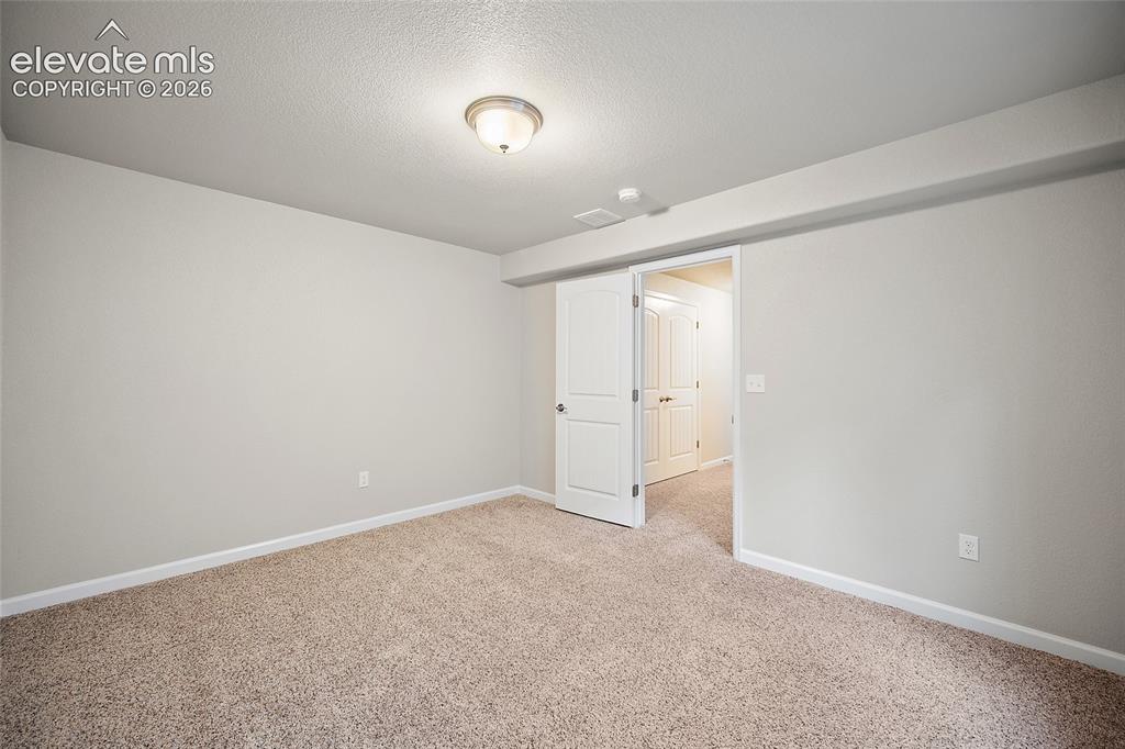 11447 Rill Point Colorado Springs, CO 80921 - Photo 26 of 42 downstairs bedroom #2