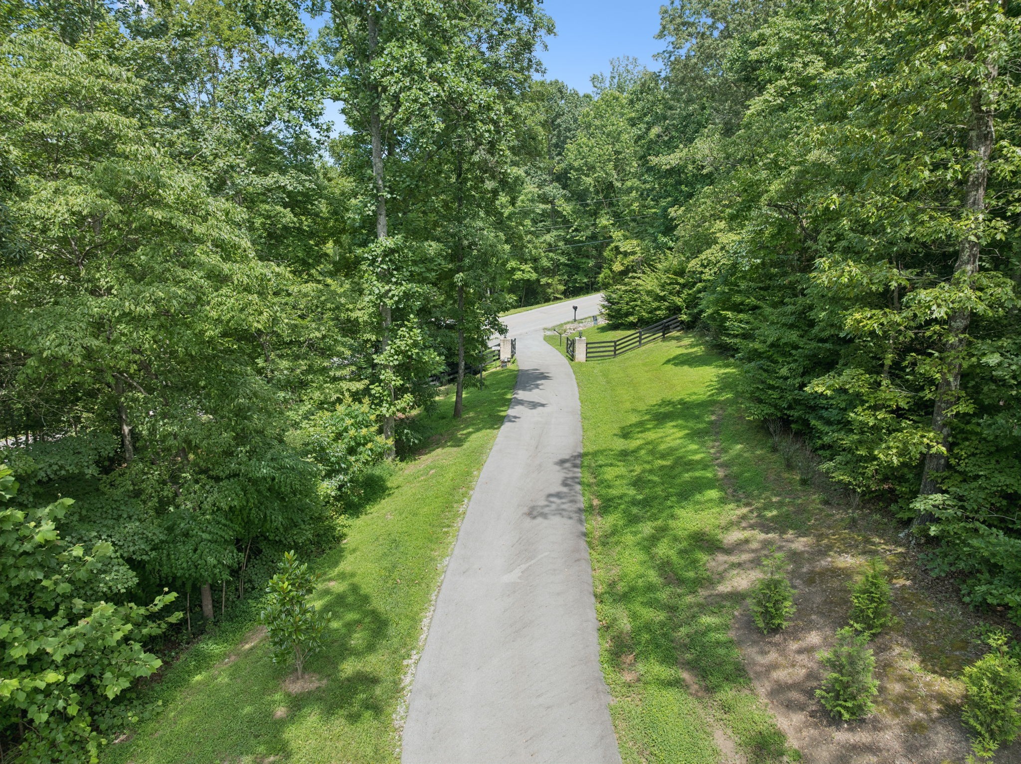 7903 Daugherty-Capley Road Primm Springs, TN 38476 - Photo 65 of 92 a view of a pathway both side of yard