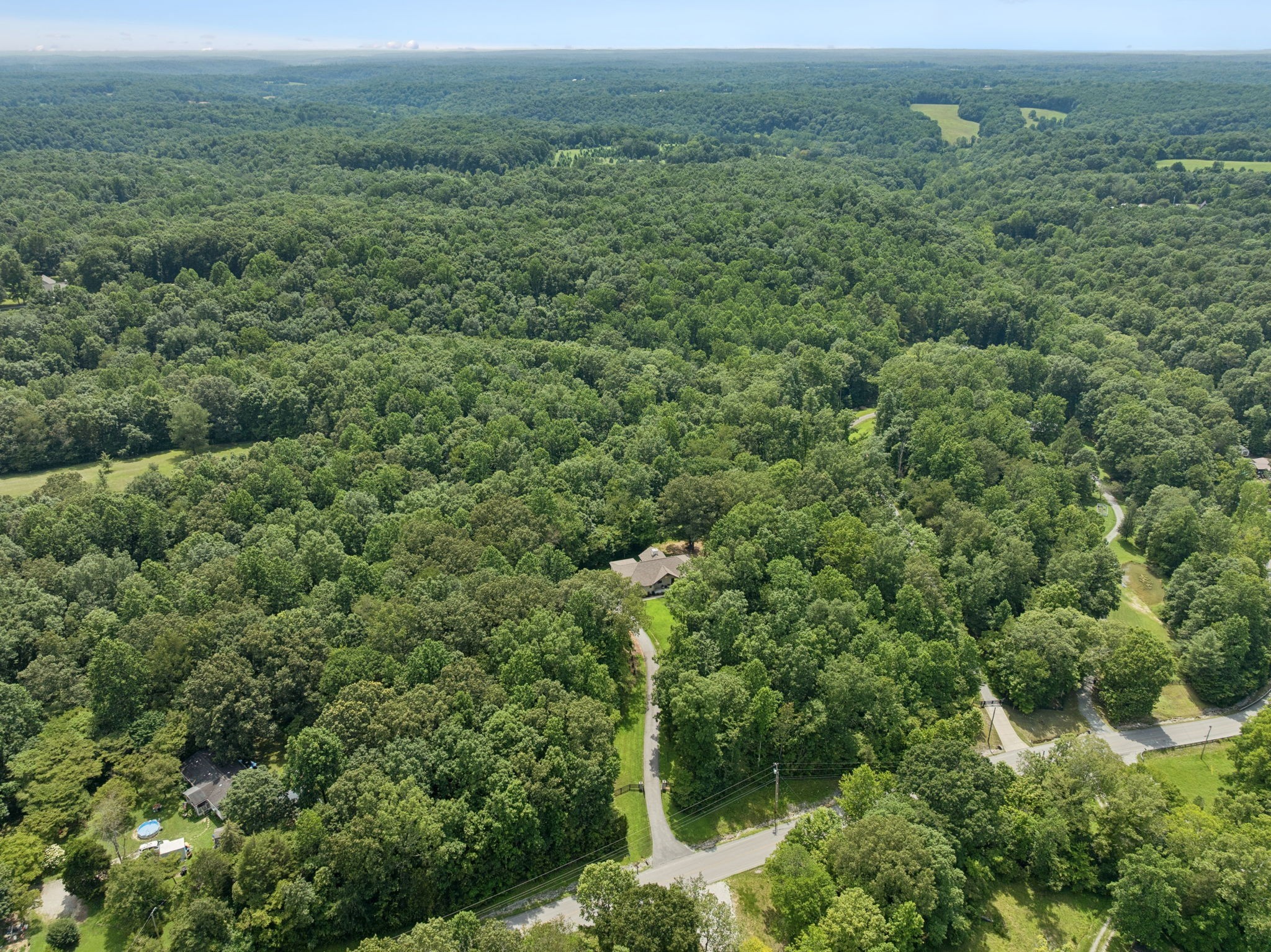 7903 Daugherty-Capley Road Primm Springs, TN 38476 - Photo 72 of 92 an aerial view of residential houses with outdoor space and trees