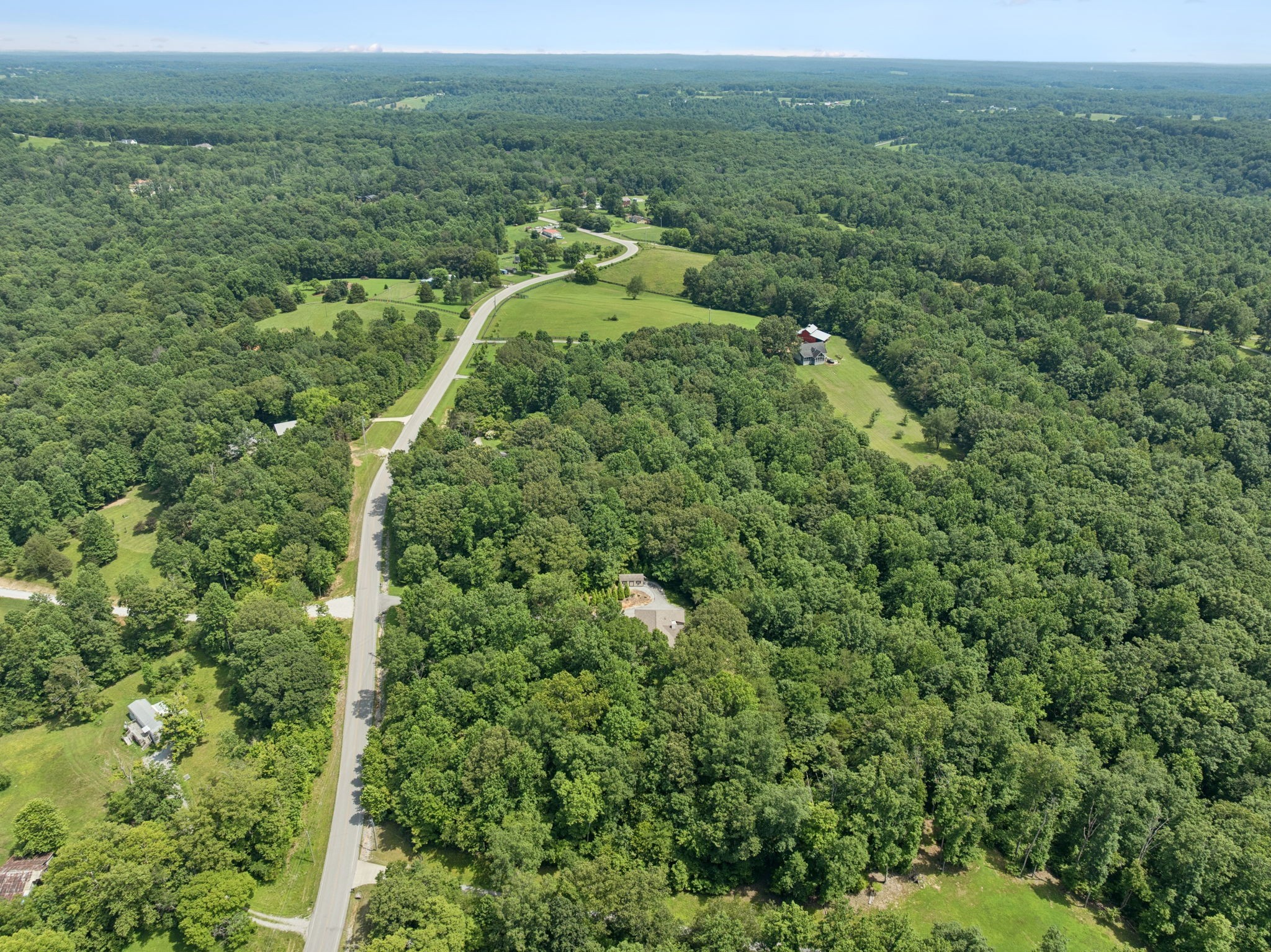 7903 Daugherty-Capley Road Primm Springs, TN 38476 - Photo 77 of 92 an aerial view of residential houses with outdoor space and trees